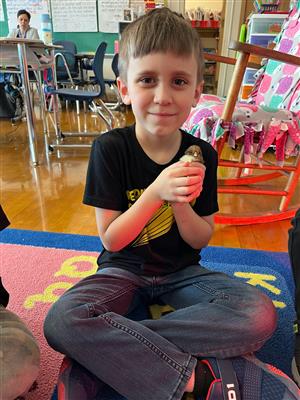 Student holds baby chick